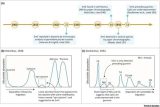 Epigenetics & Aging: How Lifestyle Shapes Longevity
